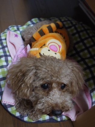 2013.08.31j.jpg