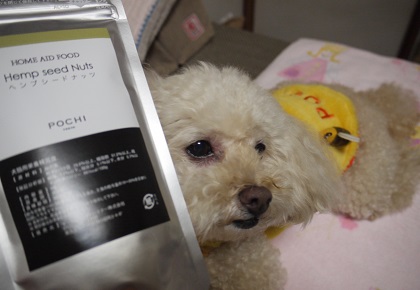2013.08.31l.jpg