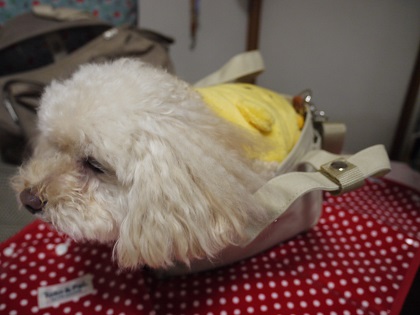 2013.08.31o.jpg