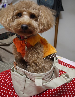 2013.08.31q.jpg