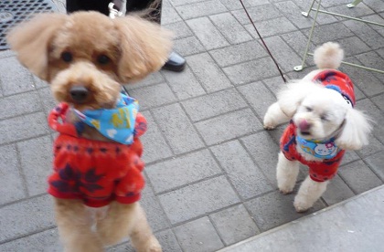20130212.jpg