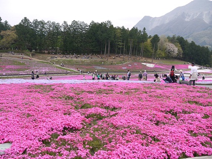 20130417j.jpg