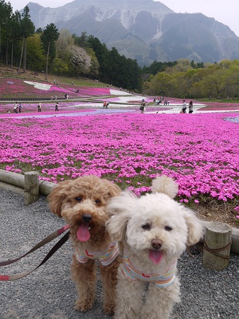 20130417l.jpg