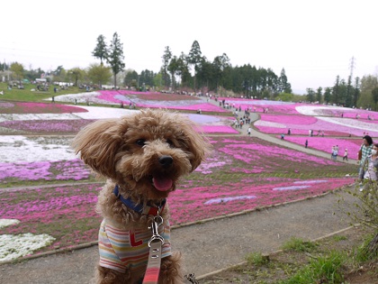20130417q.jpg