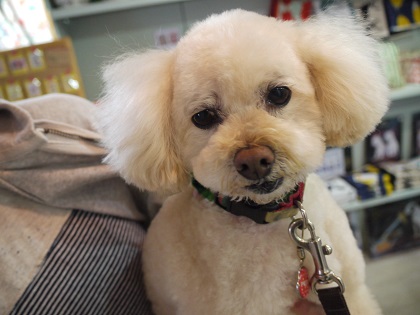 20140409a.jpg
