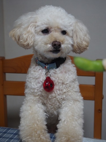 20140820.jpg