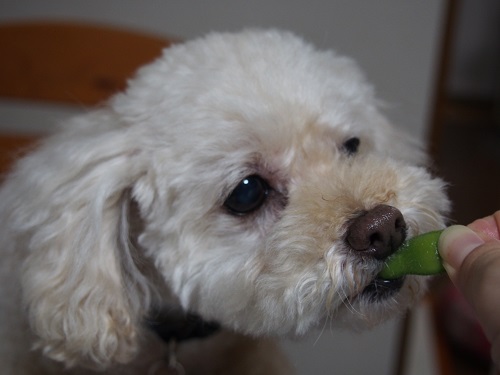 20140820a.jpg