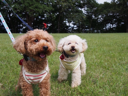 20140831.jpg