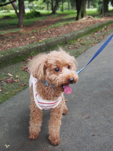 20140831e.jpg