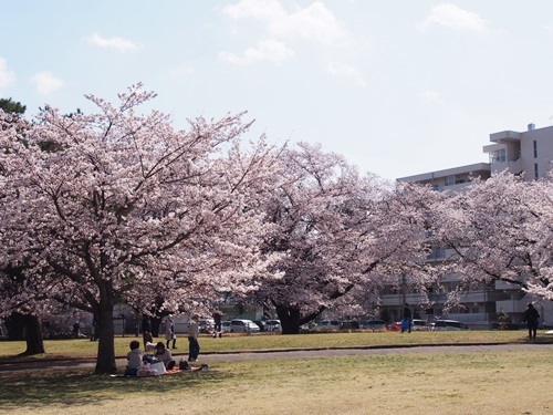 P4060624.JPG