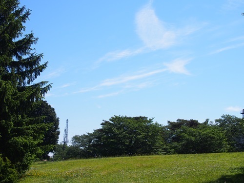 P5180220.JPG