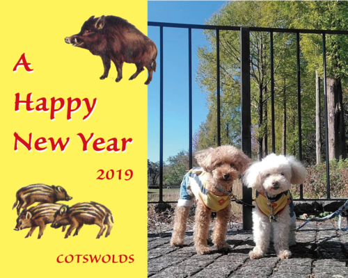 ahappynewyear2019.png