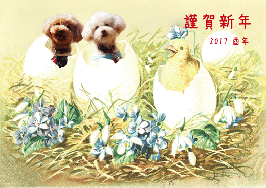 mini年賀状2017年-001.png