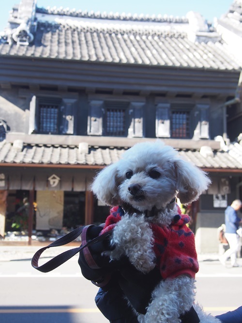 miniP1010244-005.JPG