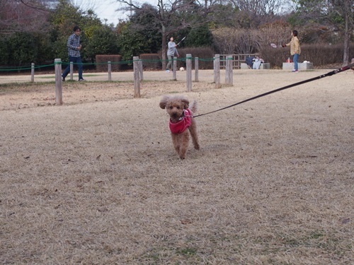 miniP1020386-049.JPG