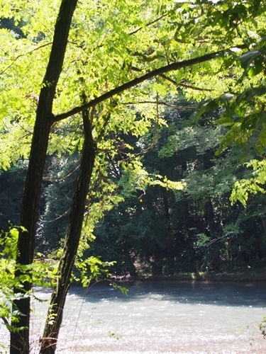 miniP9010129-005.JPG