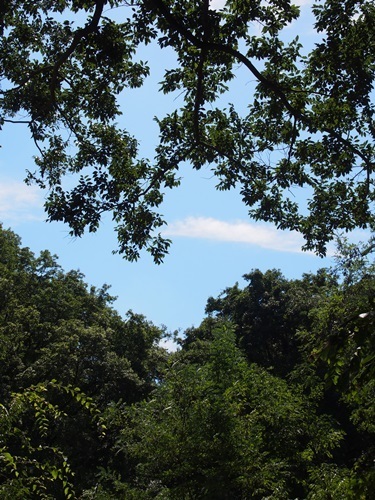 miniP9010139-006.JPG