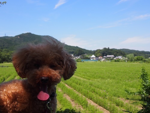 miniP9010174-015.JPG