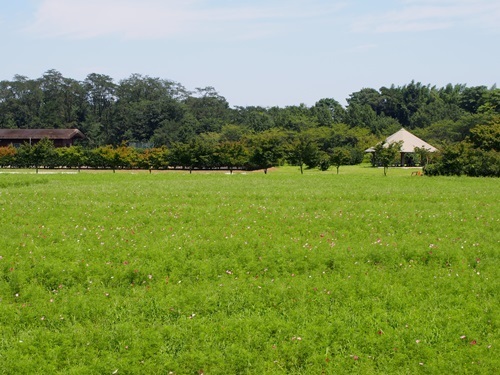 miniP9010176-016.JPG